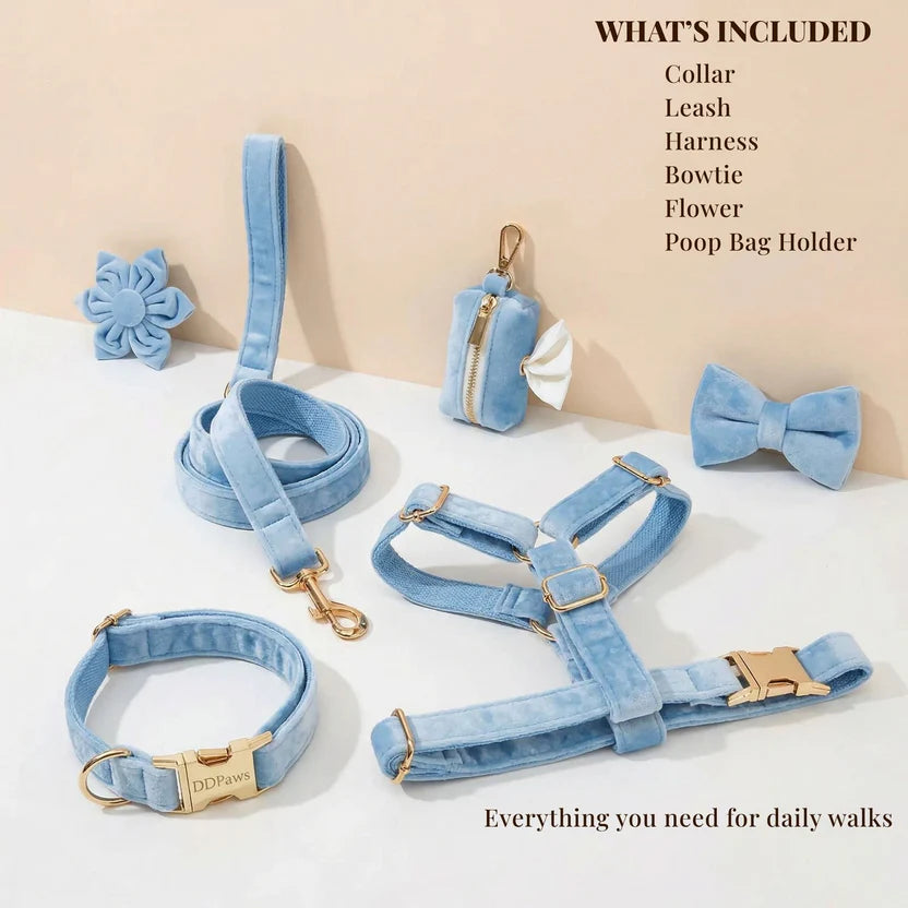 CANORO Blue Velvet Dog Harness Set