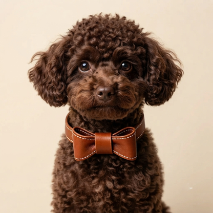 Collar de lujo con lazo para cachorro
