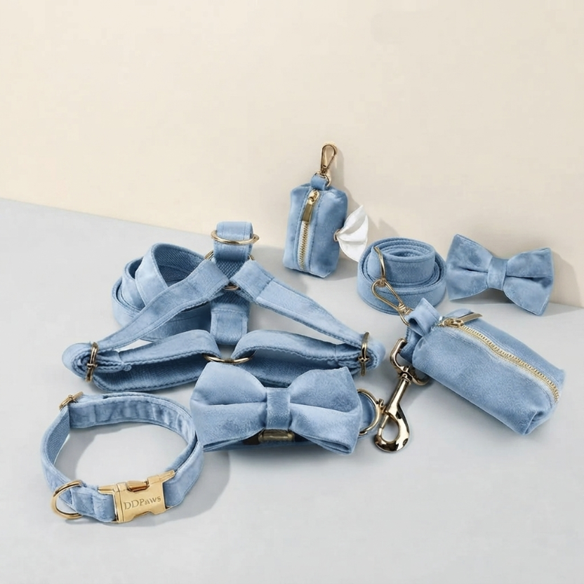 Conjunto de arnés de terciopelo azul CANORO para perro