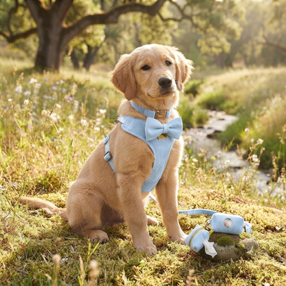 Conjunto de arnés de terciopelo azul CANORO para perro