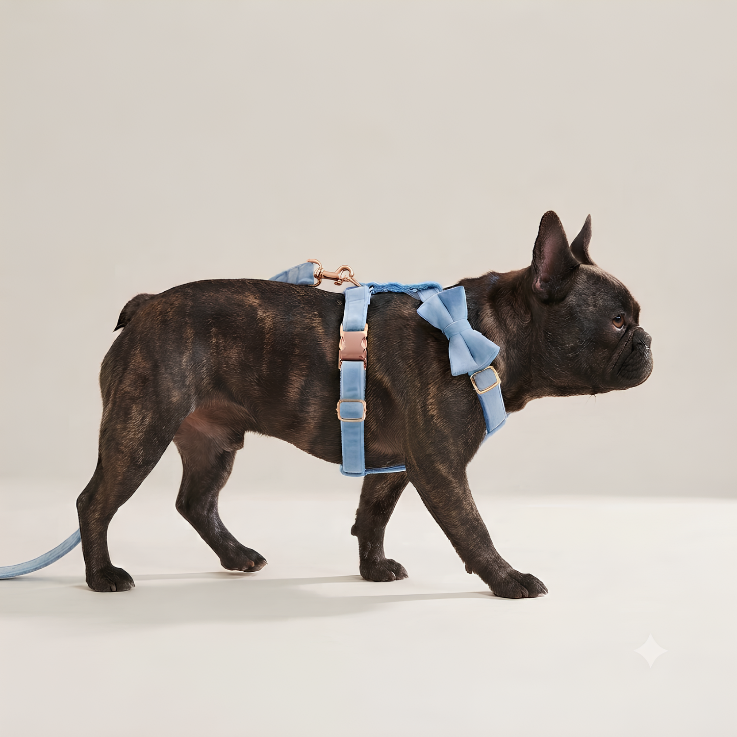 Conjunto de arnés de terciopelo azul CANORO para perro