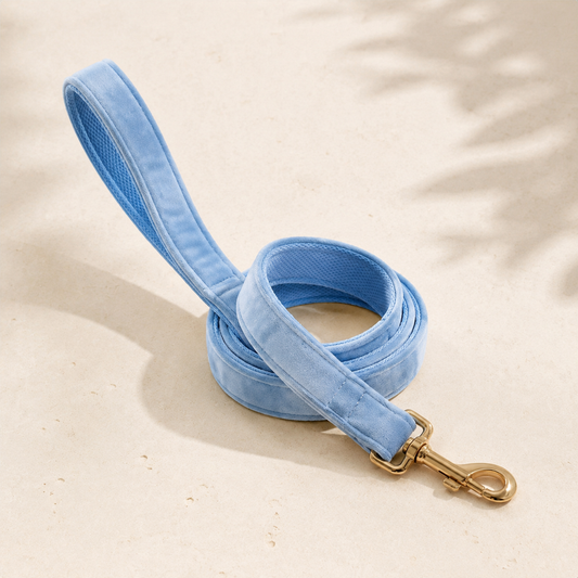 Jávea Blue Velvet Leash