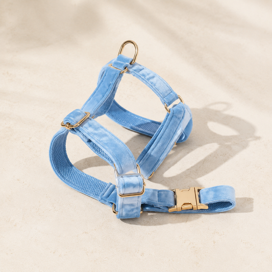 Jávea Blue Velvet Harness