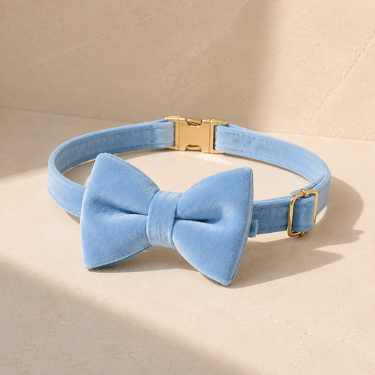 Jávea Blue Velvet Bow-Tie Collar