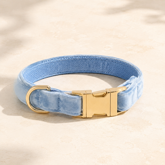 Jávea Blue Velvet Collar