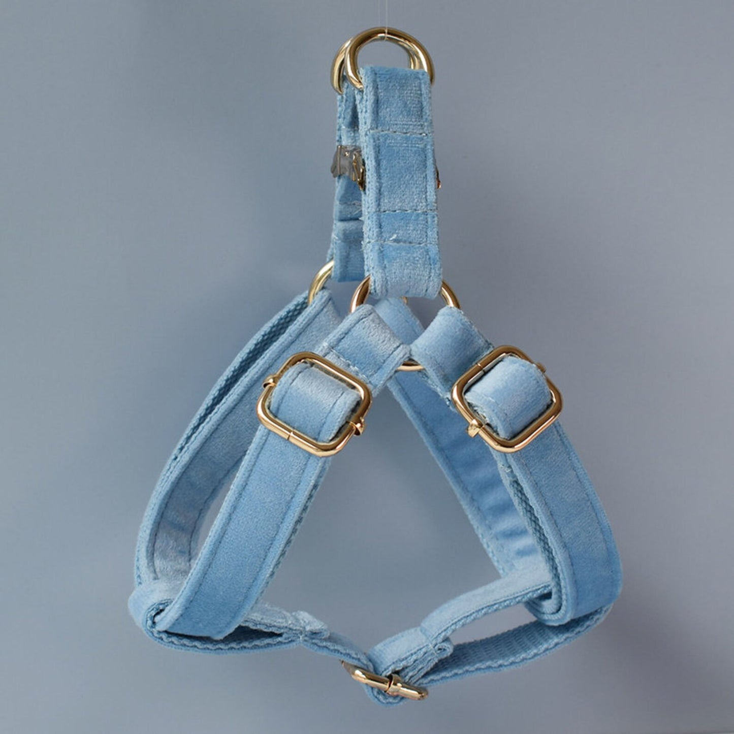 CANORO Blue Velvet Dog Harness Set